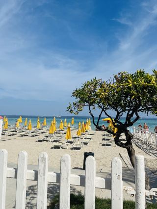 パレルモビーチで楽しもう🏖️