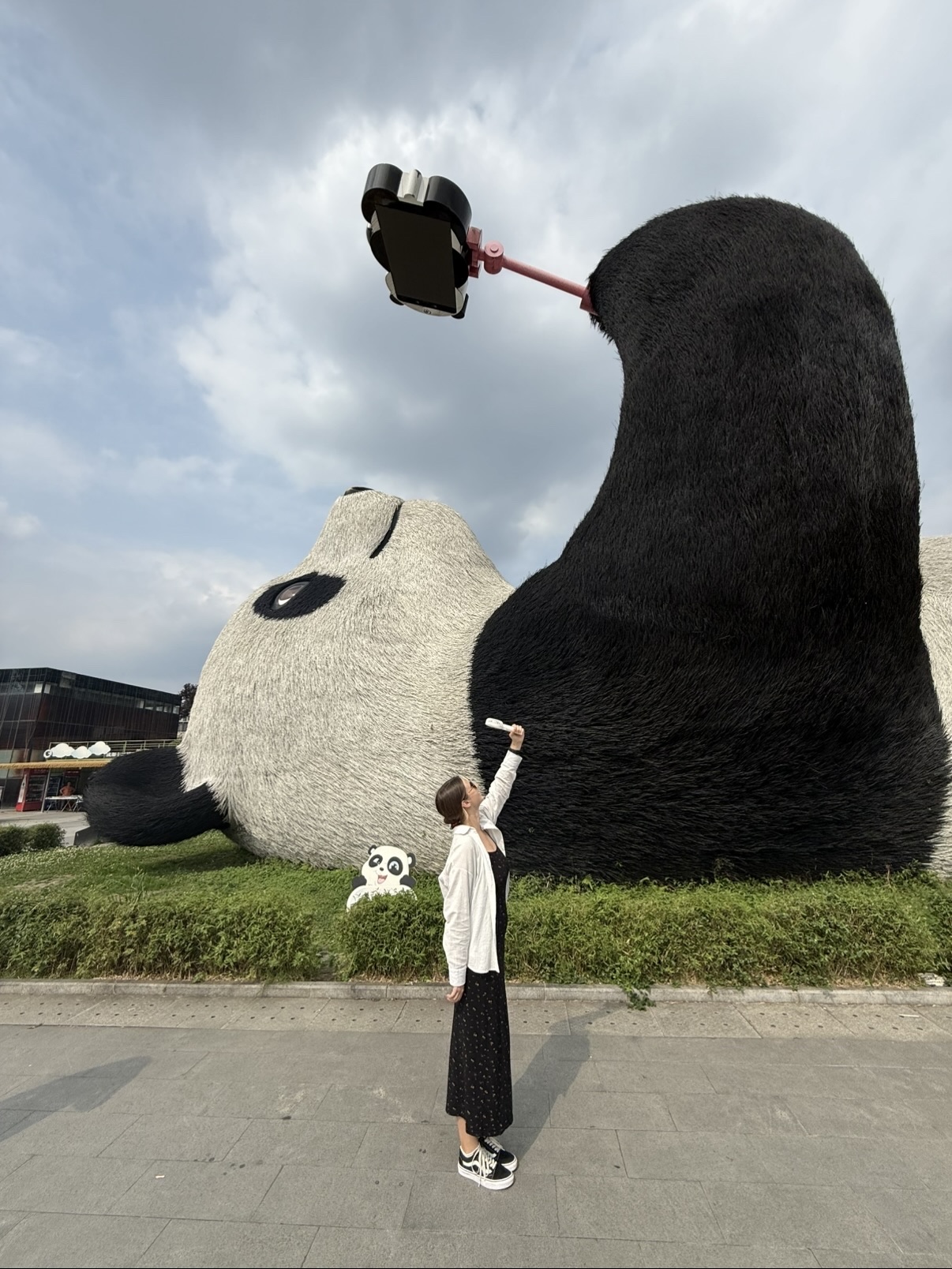 The Selfie-Taking Panda 🐼