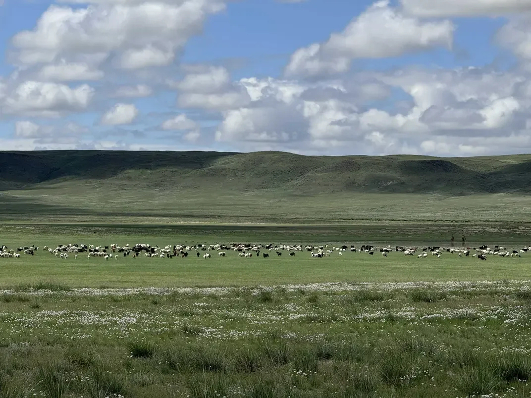 MONGOLIA 2026: The Insider’s Guide Nobody Shares (Save This Before You Go) 🇲🇳