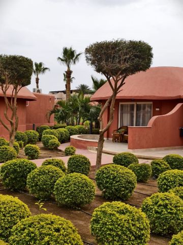 I’m NEVER going back to this hotel in Egypt.