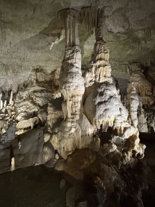 Unforgettable Sights in Slovenia: A Journey to Bled, Postojna Cave & Predjama