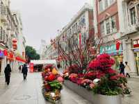 Pedestrian Street 