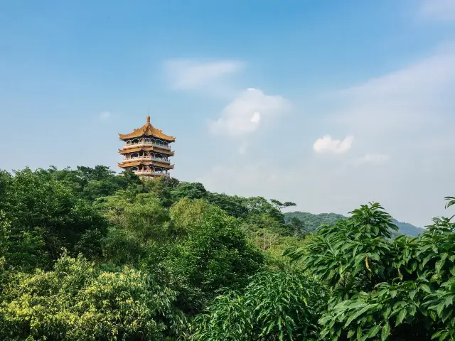 上鴻鵠山，登廣州「黃鶴樓」