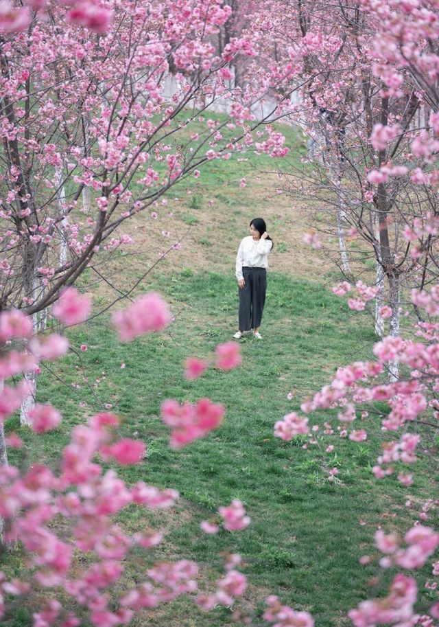 Japan - Fukuoka