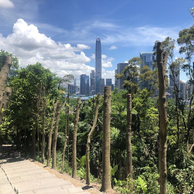 Stunning oasis in a concrete jungle 🌿🏙️🌸