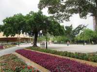 Hong Kong Deep Tour - Sha Tin Central Park