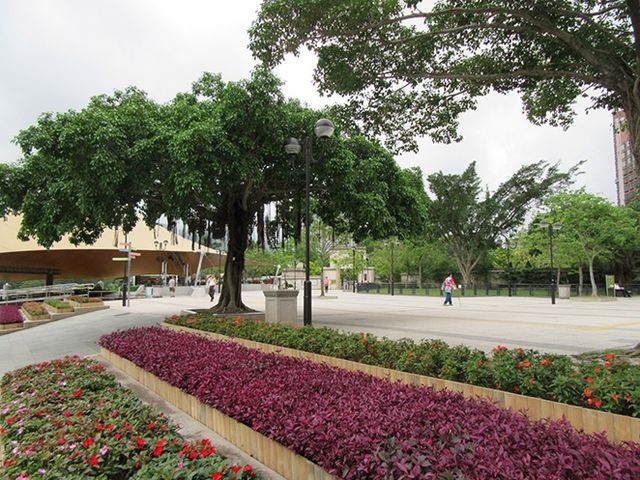Hong Kong Deep Tour - Sha Tin Central Park