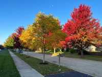 Millennium Park