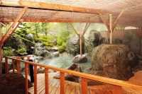 Feeling tired lately? These healing places are worth a visit