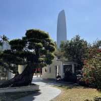  A stunning park in the heart of Shenzhen