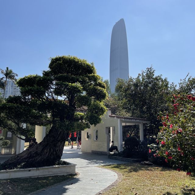  A stunning park in the heart of Shenzhen