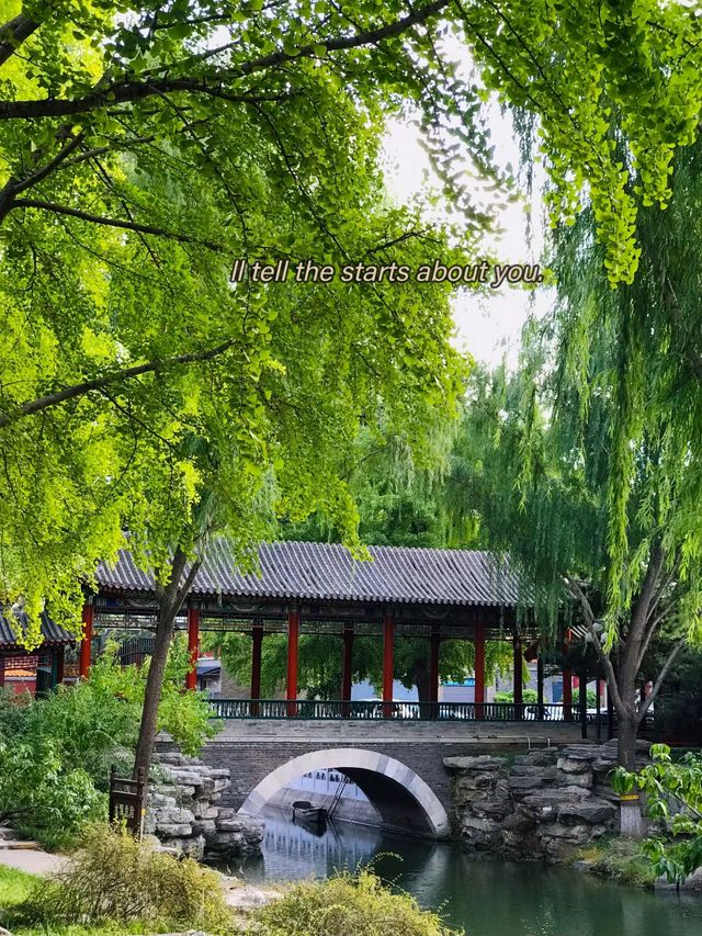 上海‖中山公園醉美