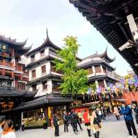 The Street With a History | Shanghai 