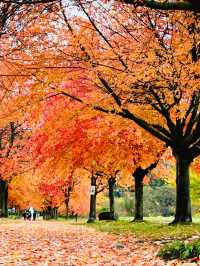 溫哥華史丹利公園攻略，教你玩出不一樣的風景
