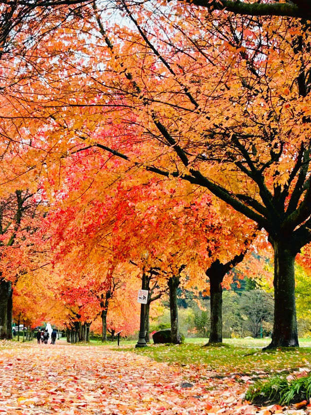 溫哥華史丹利公園攻略，教你玩出不一樣的風景