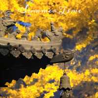 杭州徑山寺的秋，有一種京都也比不了的美