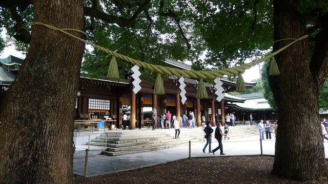 東京核心區最大的都市綠地——明治神宮