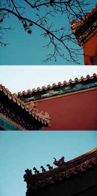 北京漫步 | 延禧宮的銀杏最美的時候