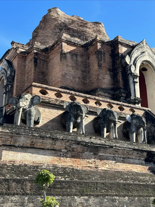 タイのチェンマイにあるワット・チェディ・ルアン寺院