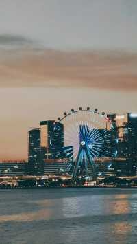 深圳灣紅樹林，大海的懷抱