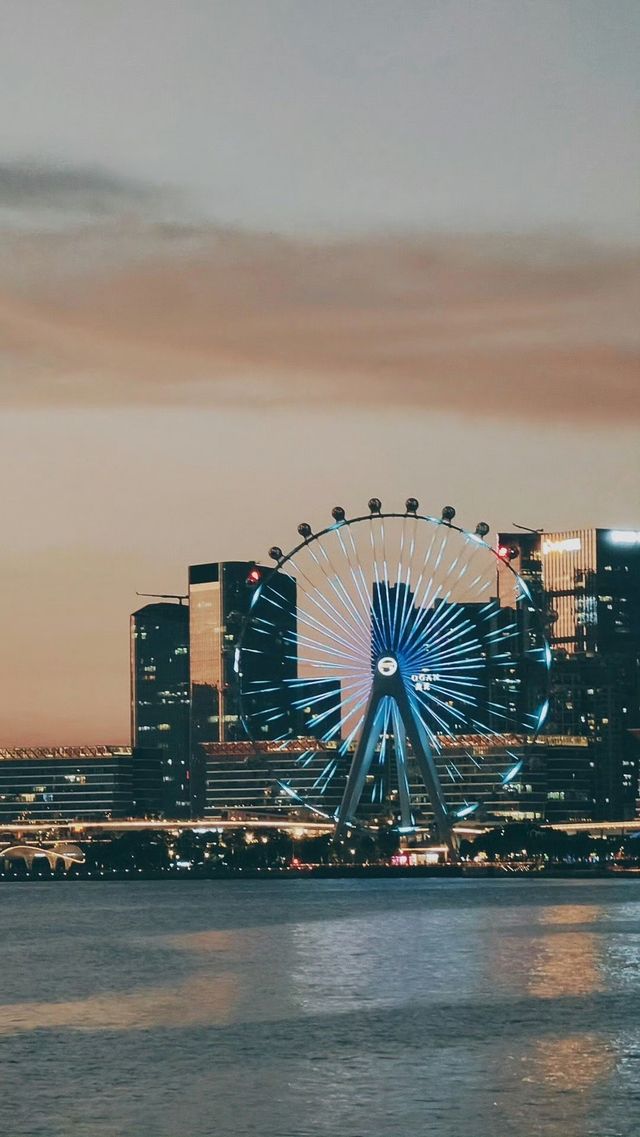 深圳灣紅樹林，大海的懷抱