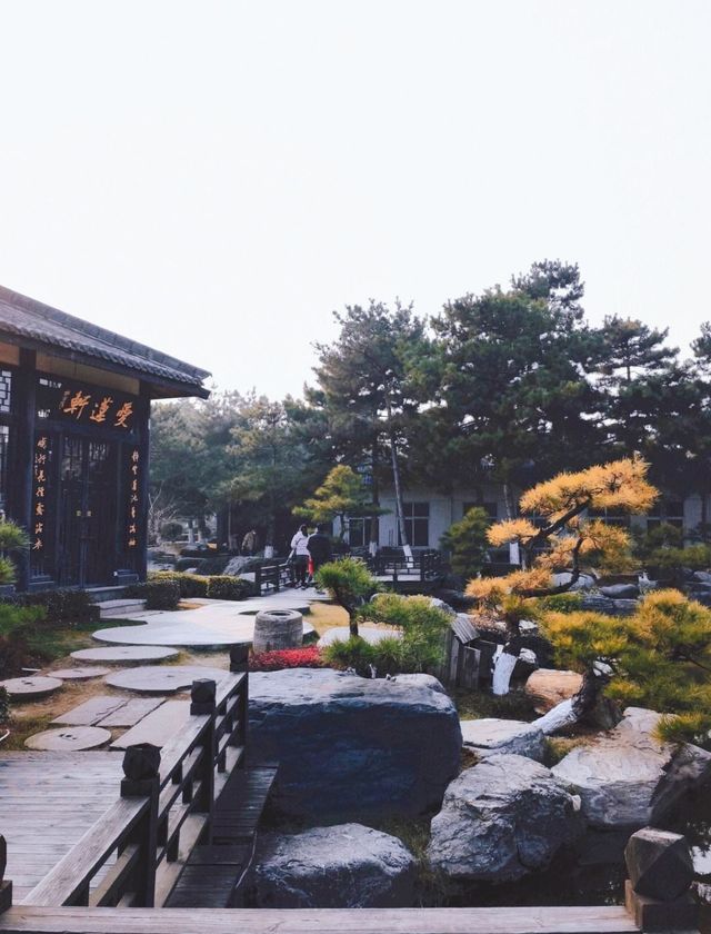 中國唐苑——隱於鬧市的“皇家園林！