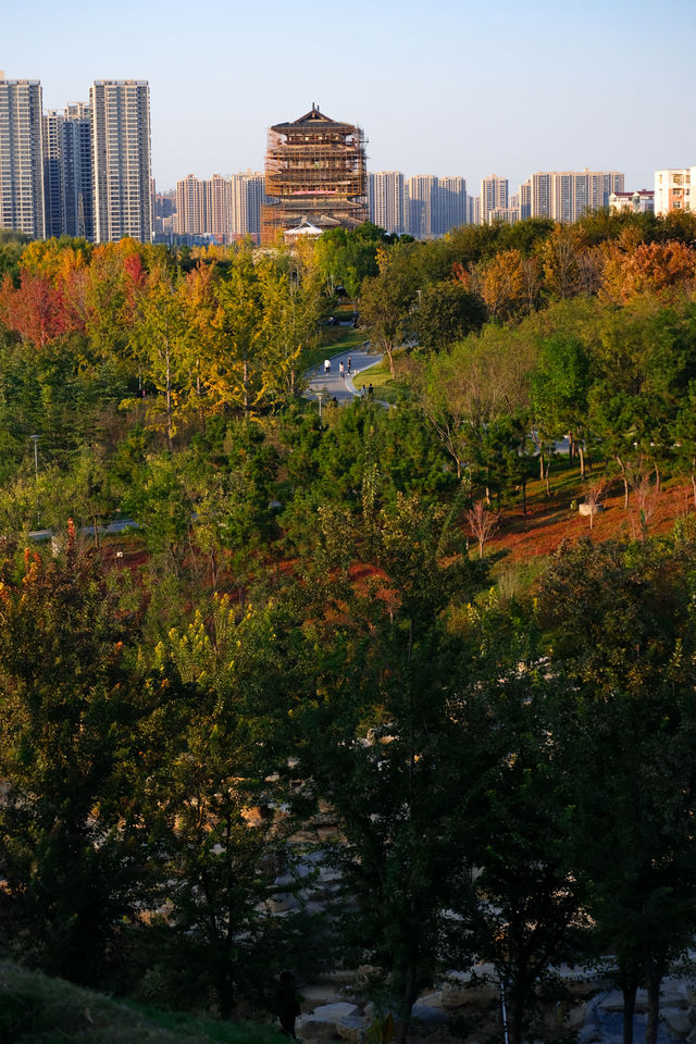 鄭州秋日美拉德聖地 | 西流湖公園