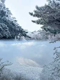 上海當日往返人回來了，魂還在冰天雪地