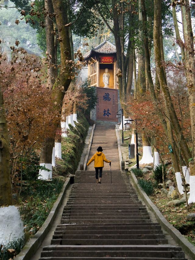 這個輕徒步天花板是不是全成都人都知道了