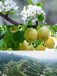 成都周邊的新進寶藏打卡地——華蓥