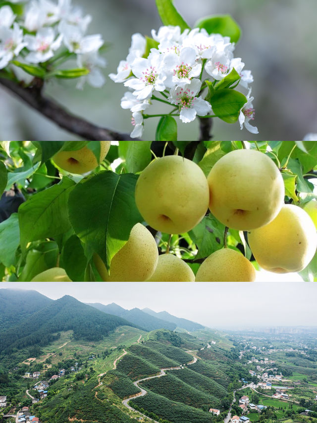 成都周邊的新進寶藏打卡地——華蓥