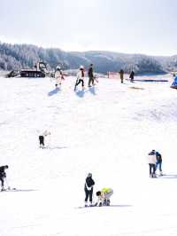 武隆仙女山冰雪季，邂逅冬日童話！