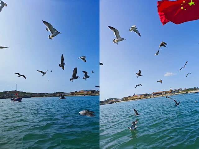 週末去大連金石灘—釣魚餵海鷗