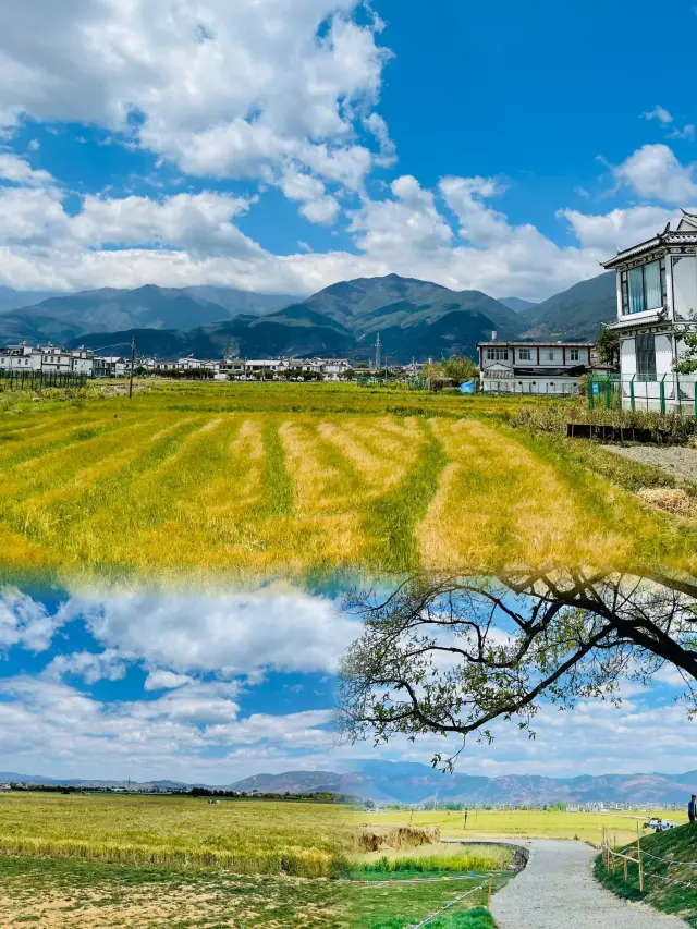 Xizhou Ancient Town | Half a day is enough (Super Complete Guide)