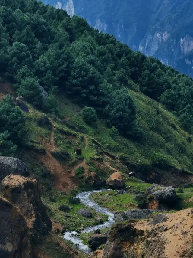 雲南隱藏的秘境，感受大峽谷的呼喚