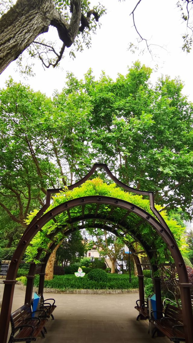 霍山公園：曾經的猶太難民活動聚會之地