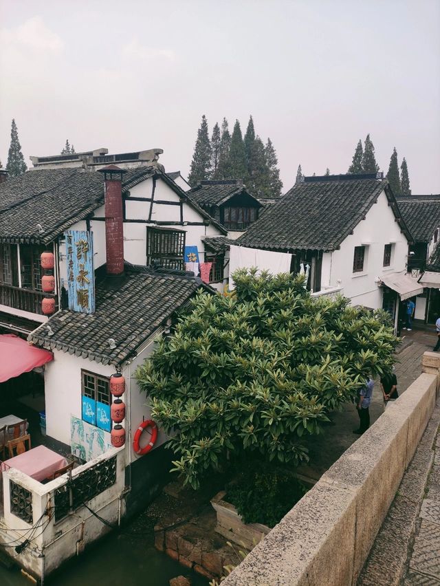 上海朱家角｜不是夢中的千與千尋，只是上海的城郊古鎮