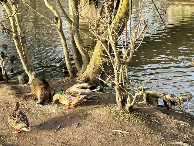 春天來到尼達公園了