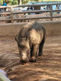 昆明圓通山動物園