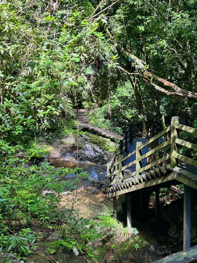 海南五指山熱帶雨林愛麗絲夢遊仙境