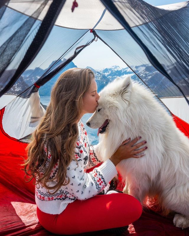 🏞️🐶 Soulmates: Exploring Norway's Majestic Landscapes with Your Furry Best Friend! 🌲❤️
