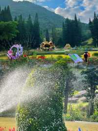 深圳旅遊，粉色花海瀑布盛開，仙湖植物園