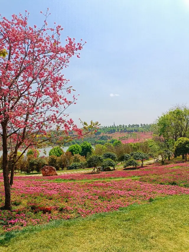 A must-share hidden gem around Kunming!