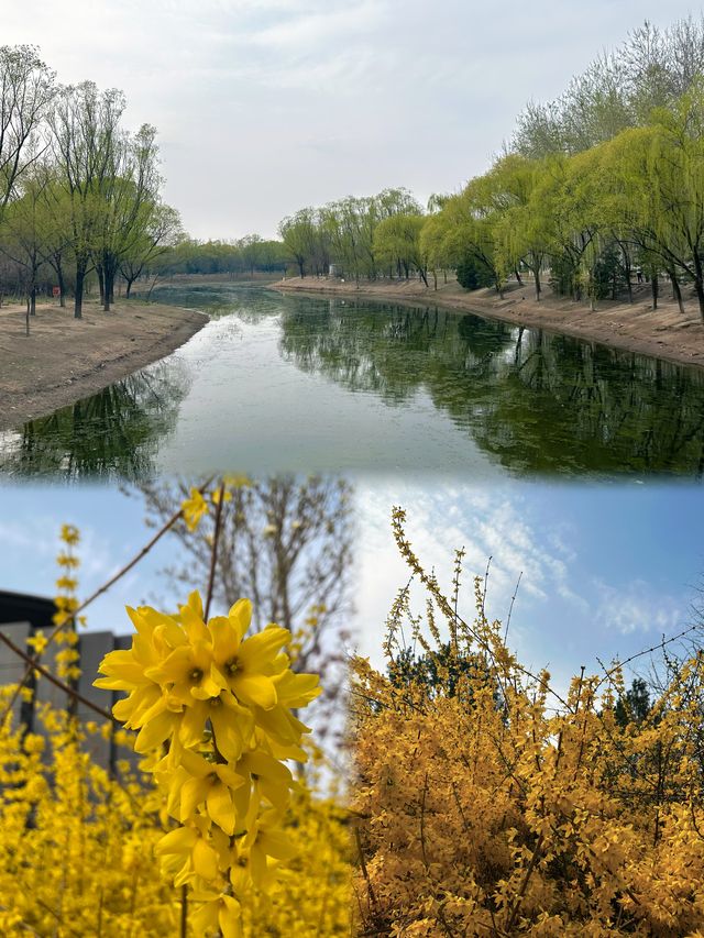 奧森遛娃感受春日滿園花開的浪漫