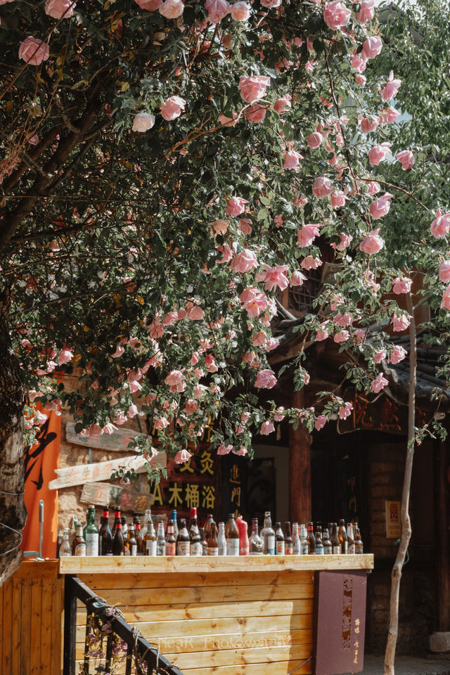 Welcome to the world-class ancient kingdom of the Naxi people, the Baisha Old Town in Lijiang, a UNESCO World Heritage Site 🙇🏻.