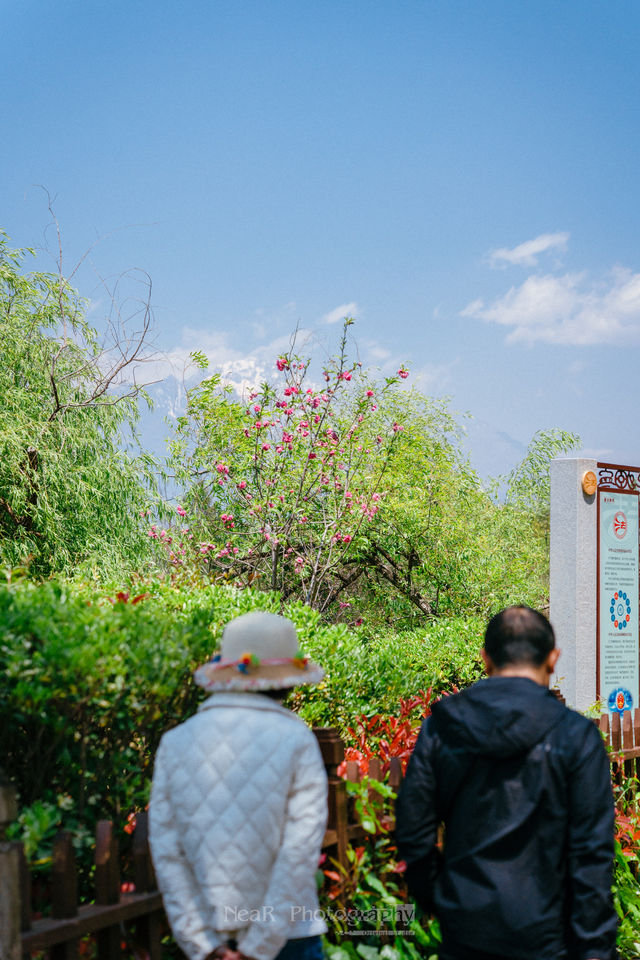 Welcome to the historical and cultural heart of Lijiang's most beautiful park, the Wufenglou of Fuguo Temple🌸.