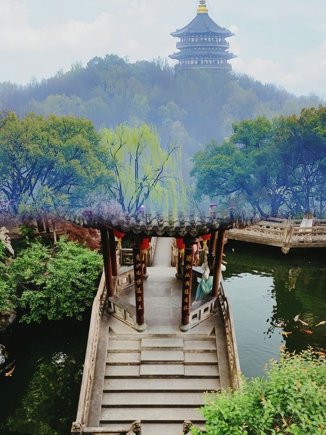 哇！4月的杭州，我真的被這條lakewalk路線給驚艷到了！