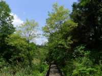 湖畔秘境——百花湖森林公園