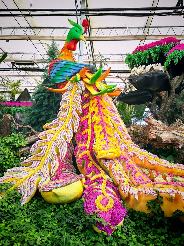 蘭陵國家蔬菜公園 一站式遊玩好去處 推薦打卡！
