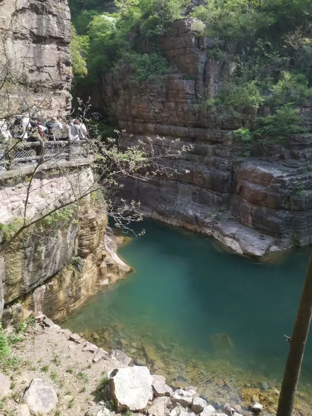 有山有水也有你